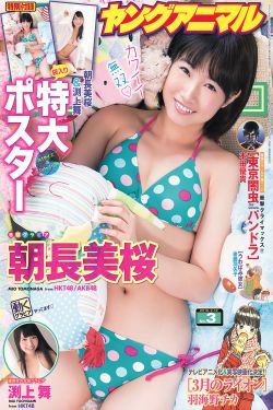 少年白马第40集免费播放